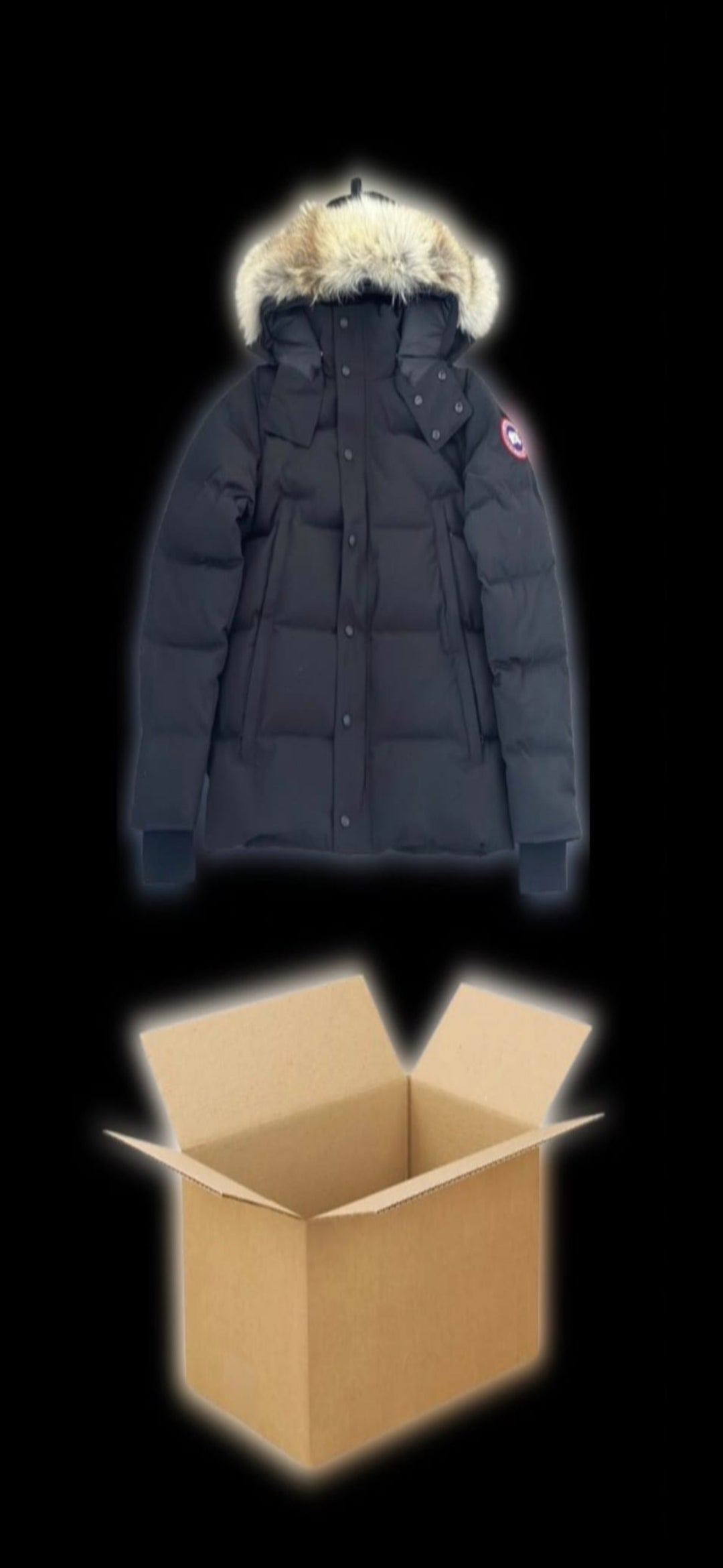 Canada goose (vendor)